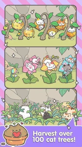 My CatPots1