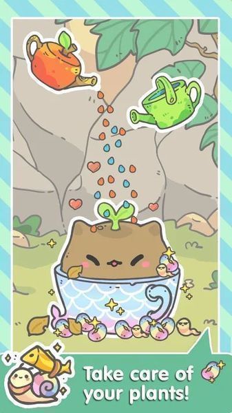 My CatPots5