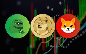 模因币龙头币有哪些