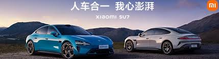 小米汽车app积分有哪些用途