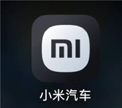 小米汽车app积分有哪些用途