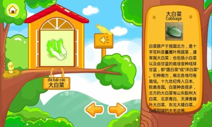 儿童宝宝认蔬菜3