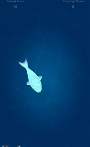 CatFishing v2.3安卓版3
