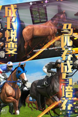 相马大师单机版2
