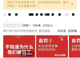 大众点评点评后为何看不到