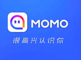 陌陌附近的人看不到我是怎么回事