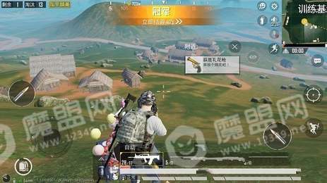 和平精英白菜多功能辅助