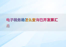 如何在电子税务局查询已开发票