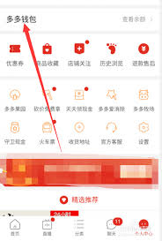 多多钱包里的钱如何使用
