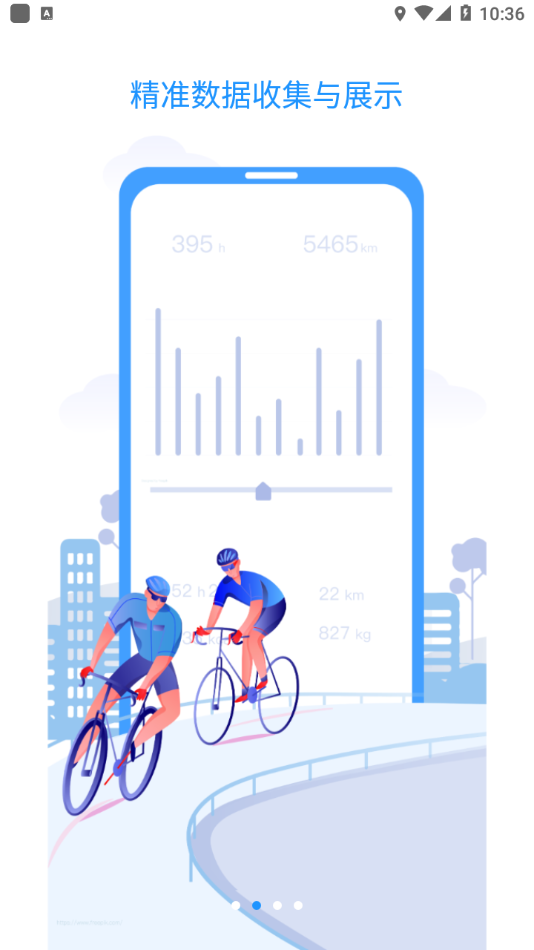 Bikewise Pro2