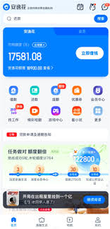 安逸花有额度但综合评分不足如何解决