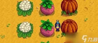 星露谷物语如何种植巨大作物