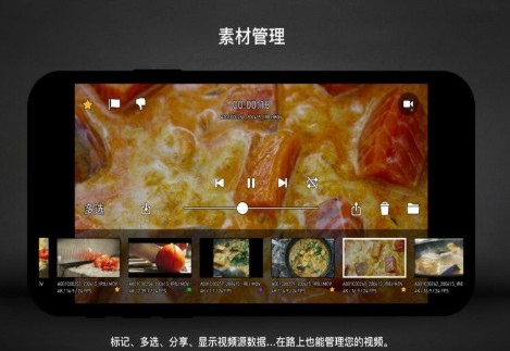 专业编辑1
