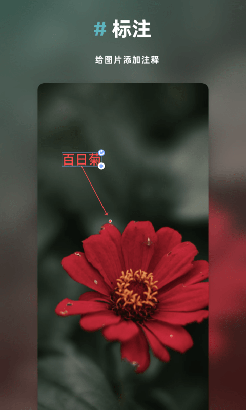 Annotable图片处理2