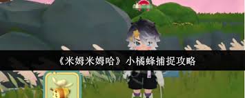 如何捕捉米姆米姆哈小橘蜂