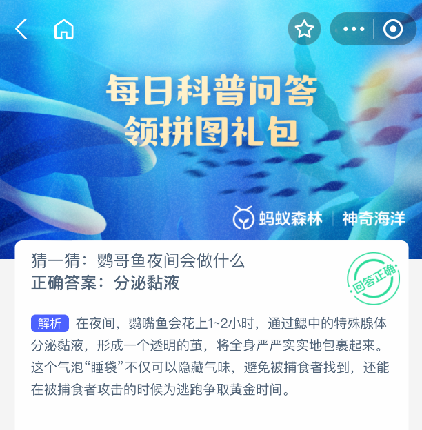 神奇海洋2025年8月8日今天答案是什么