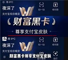 黑色支付宝是什么等级