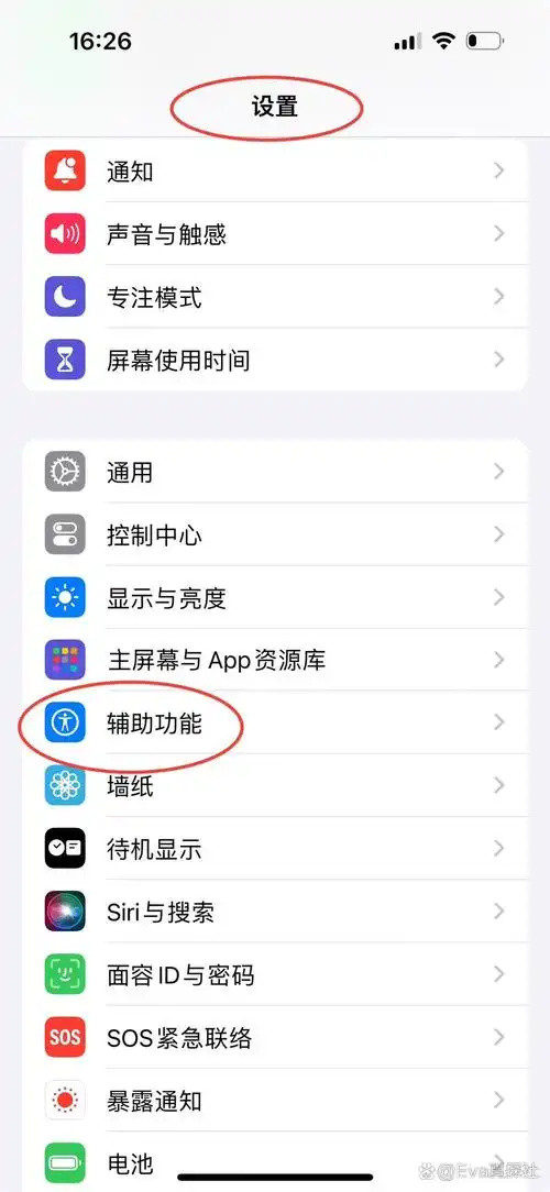苹果15pro长按电源键和音量键闪灯怎样设置