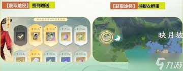 仙剑世界如何全面培养长风豹