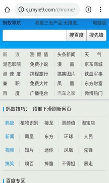 Chrome蚂蚁2