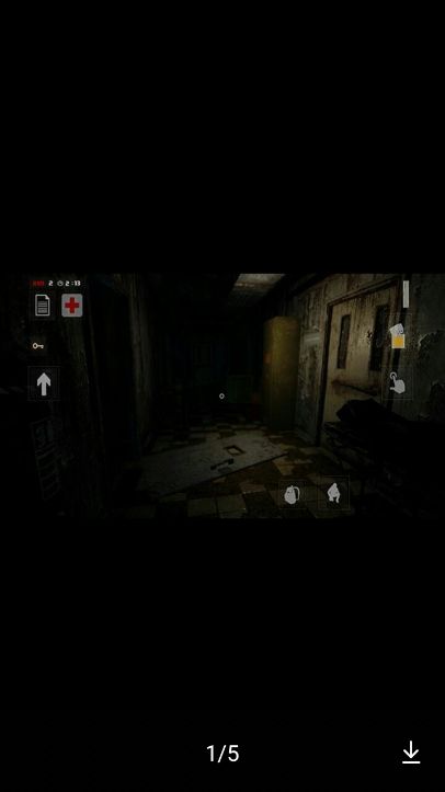 752号精神病人汉化版2