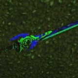 //imgres.tujixiazai.com/tujixiazai/94/467683-202508091210036896ca1b0f42f.jpg