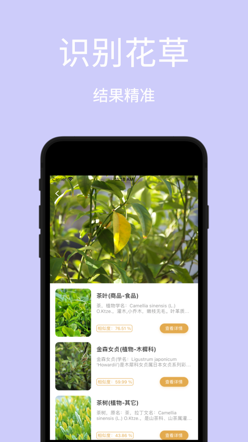 AI识图-植物识别识字识车识手写字2