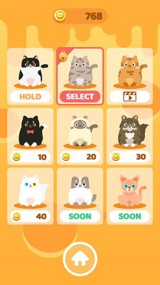可爱的猫2