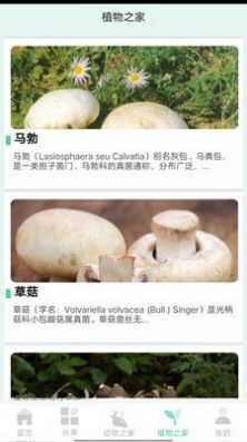 动植物之家官方3