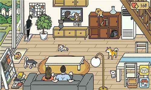 一起来养猫1
