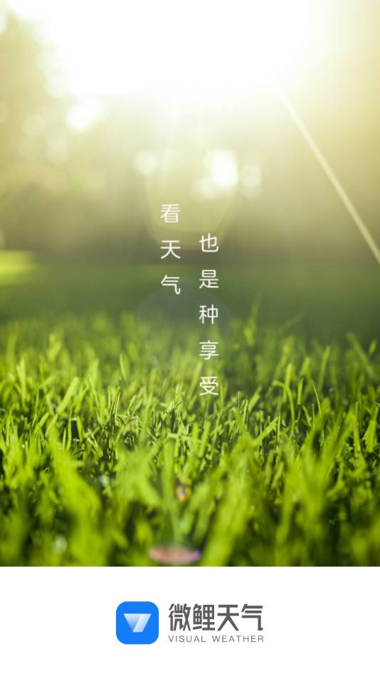 微鲤天气1