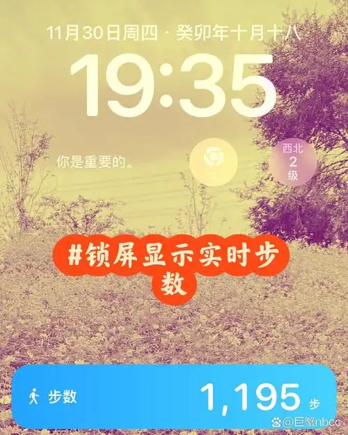 苹果手机步数更新延迟的原因