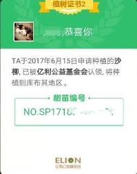 支付宝蚂蚁森林环保证书在哪查看