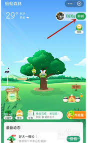 支付宝蚂蚁森林环保证书在哪查看