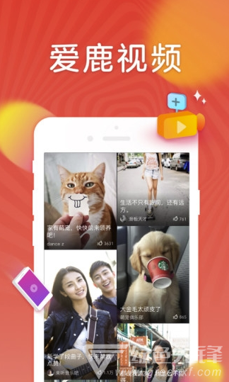 爱鹿视频(爱鹿视频播放app)安卓版4