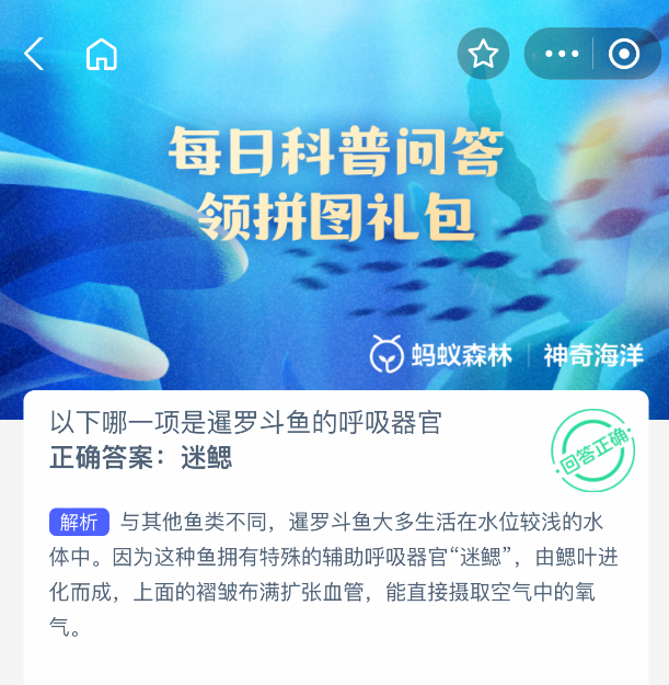 2025神奇海洋8.11今天答案是什么