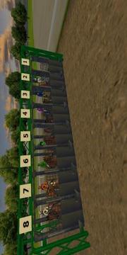 Derby Horse Quest