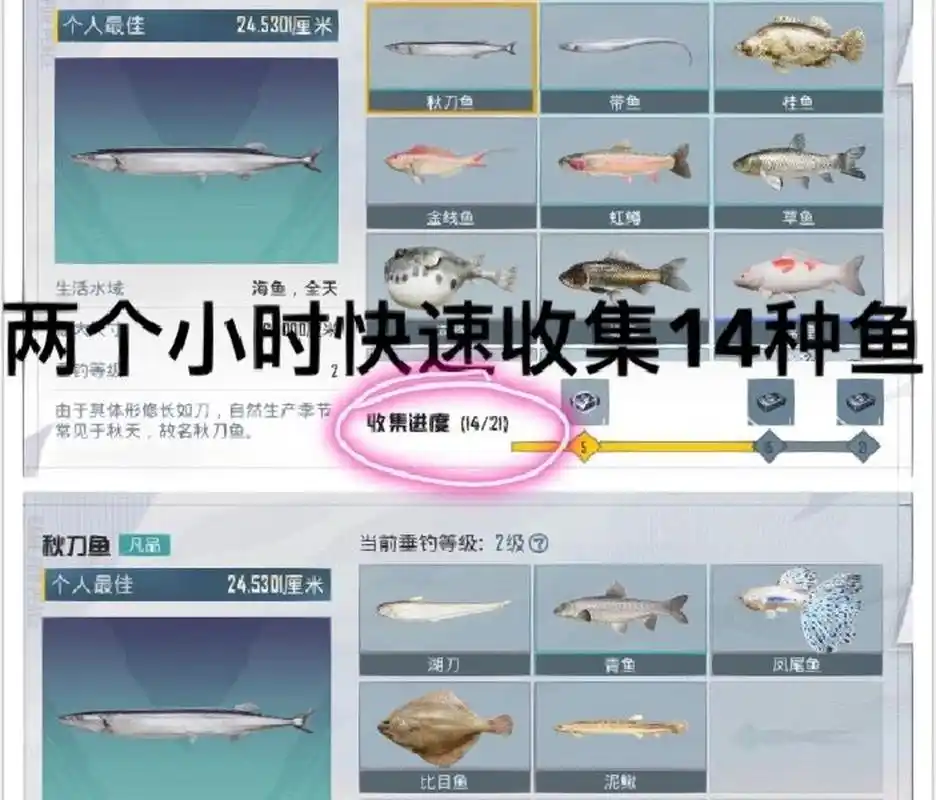 和平精英绿洲世界如何获取鱼竿