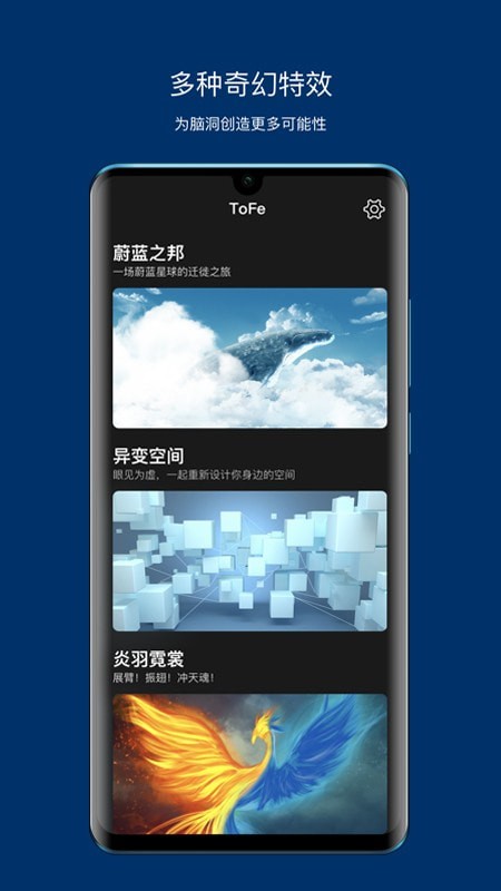 ToFe1
