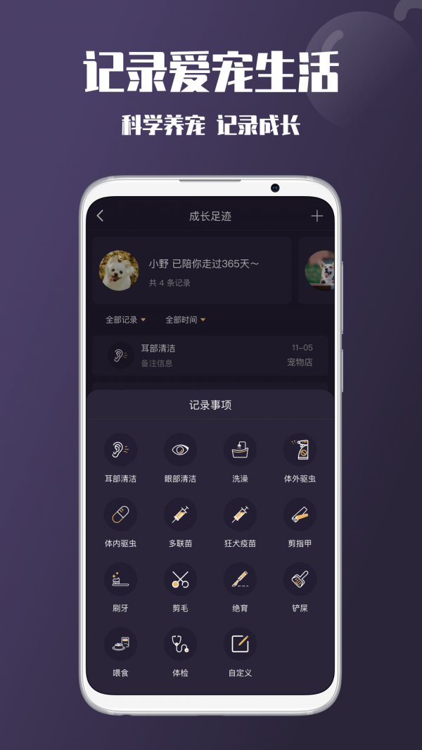 憨憨宠物4