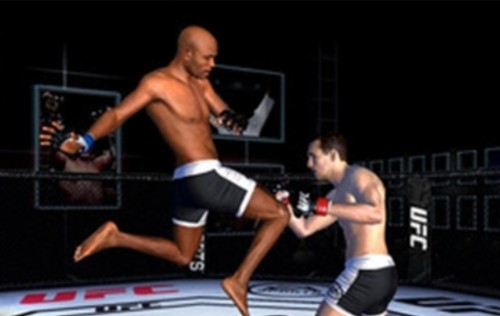 UFC终极格斗冠军3