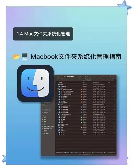 飞猫盘怎样创建文件夹