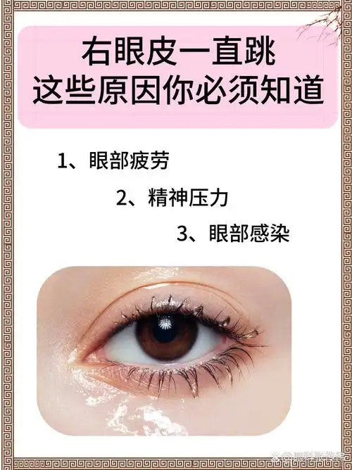 wink双眼皮在哪