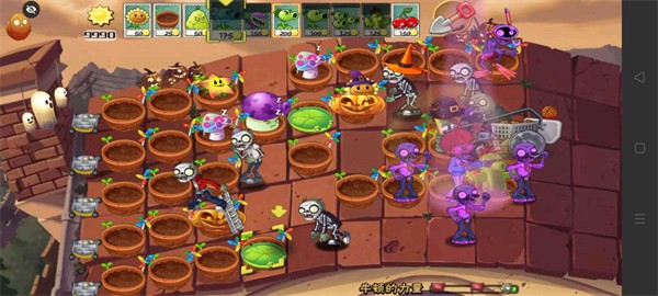 PvZ TV末日草坪随机版1