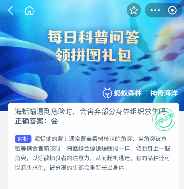 神奇海洋2025年8月15日今天答案是什么