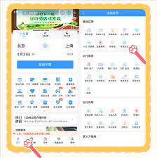 12306宠物托运要办啥手续