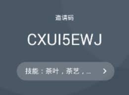 灵鸽app验证码错误的原因