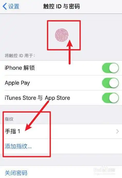 为什么iPhone不支持指纹解锁了