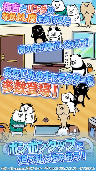 熊猫与狗狗的美好人生4