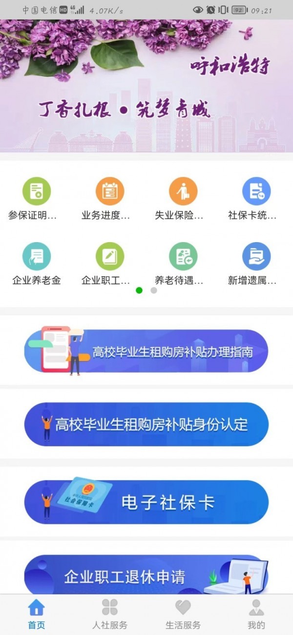 丁香扎根1